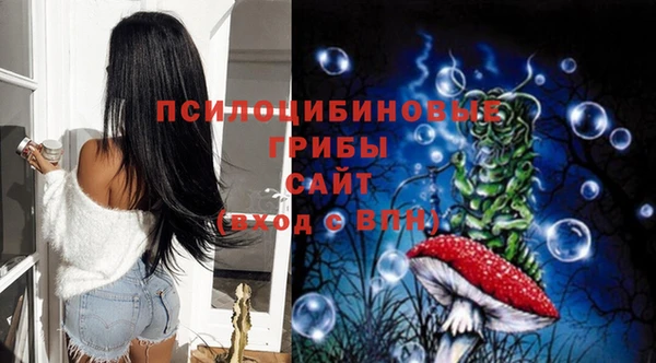 прущая мука Армянск