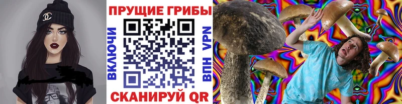 Псилоцибиновые грибы Magic Shrooms  купить наркотик  omg вход  Стародуб 